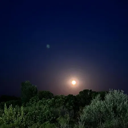 Pleasant Private Located In A Garden Of 8000m2 With Trees *