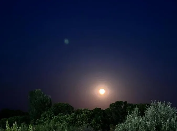 Pleasant Private Located In A Garden Of 8000m2 With Trees *