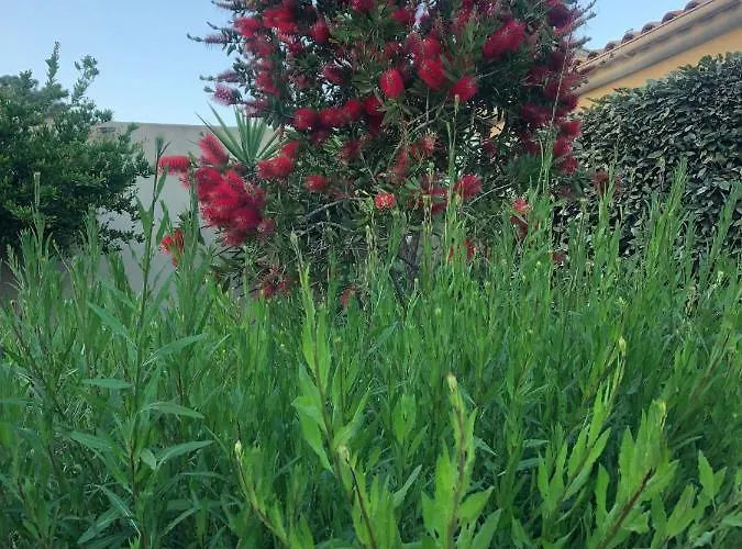 Pleasant Private Located In A Garden Of 8000m2 With Trees Villa *