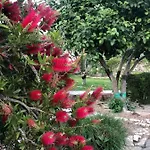 Villa Pleasant Private Located In A Garden Of 8000m2 With Trees Porto-Vecchio (Corsica)