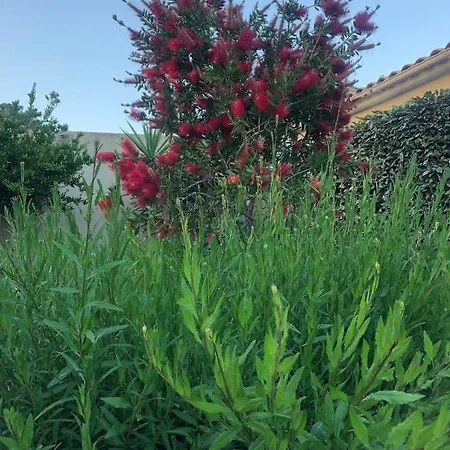 Pleasant Private Located In A Garden Of 8000m2 With Trees Βίλα *