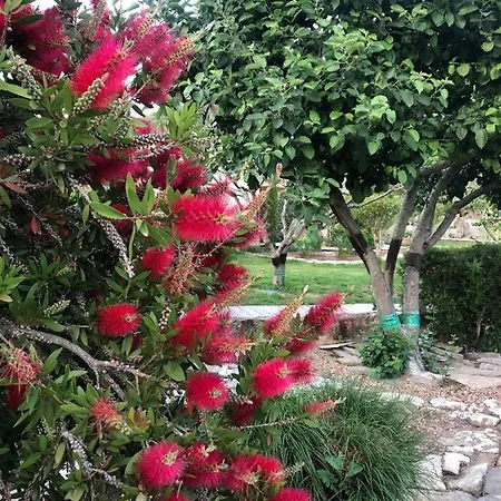 Villa Pleasant Private Located In A Garden Of 8000m2 With Trees Porto Vecchio