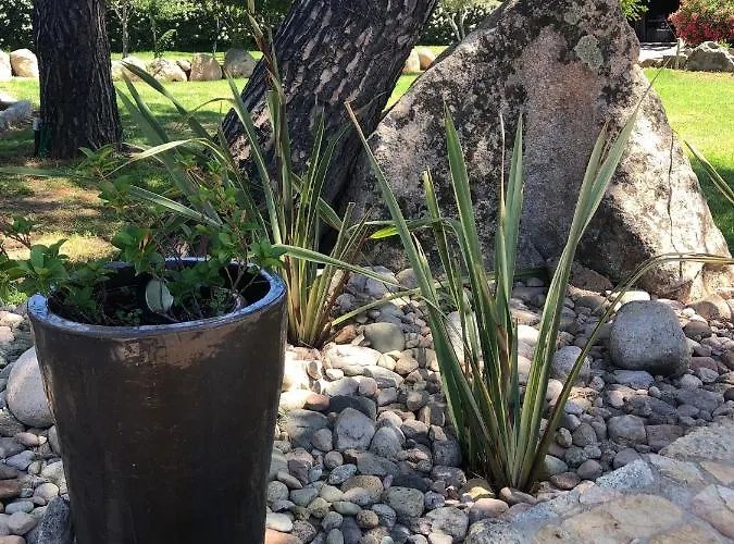 Villa Pleasant Private Located In A Garden Of 8000m2 With Trees Porto-Vecchio (Corsica)