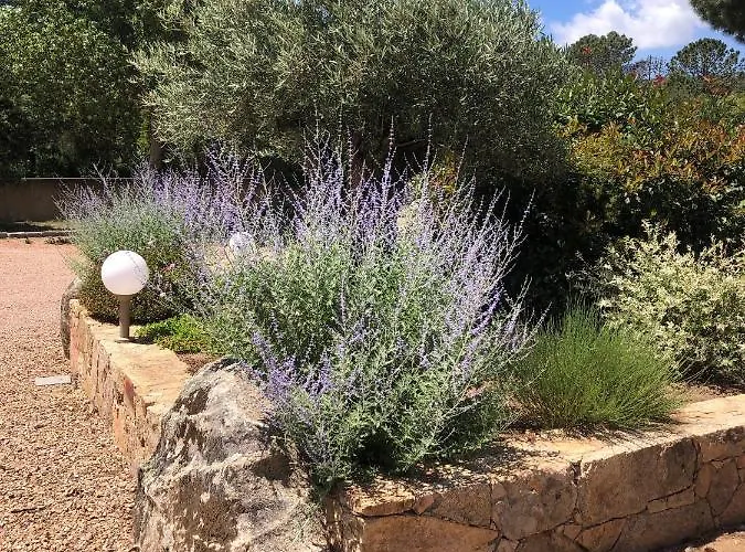 Pleasant Private Located In A Garden Of 8000m2 With Trees Villa *